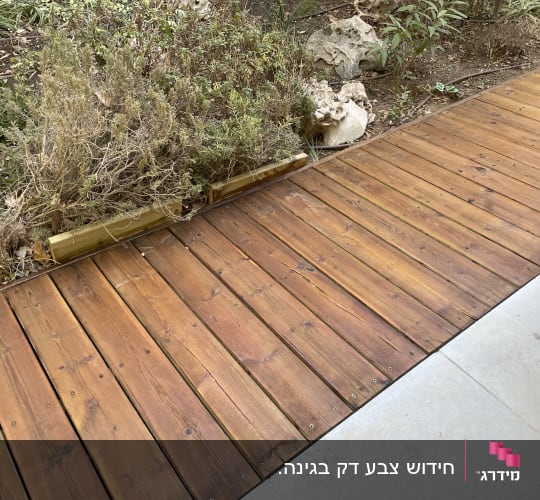 שביל עץ בגינה עם צמחייה יבשה מסביב